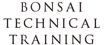 Bonsai Technical Training