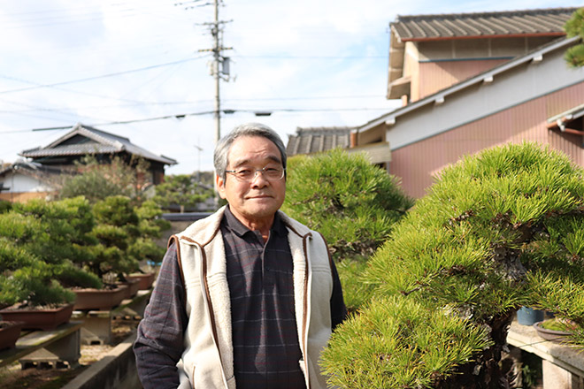 挿し木や接ぎ木から育てた黒松盆栽が並ぶ 間嶋園 高松盆栽